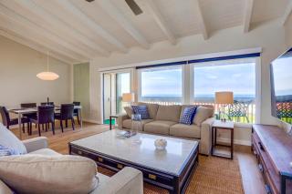 Beach Access Oceanview SBTC331 Condo - Solana Beach - 0