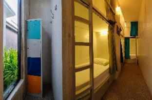Beds In Garden Hostel - 2