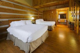 Timbers Lodge - Pigeon Forge - 4