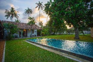 The Frangipani Tree by Edwards Collection - Unawatuna - 2