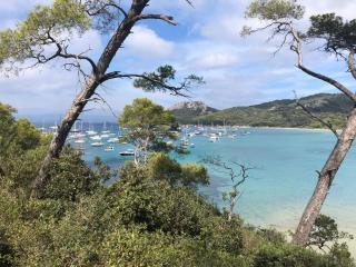 APPARTEMENT GRAND CONFORT PORQUEROLLES - Porquerolles - 6