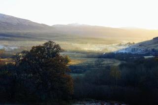 Cosy Rowan woodland lodge no1 - 4