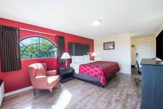 Econo Lodge - Waynesville - Waynesville - 2
