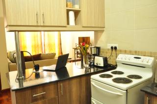 Sherry Homes- 1 BDRM PENTPAD WESTLANDS NAIROBI - Nairobi - 4