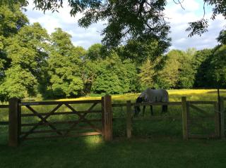 Cobblestones - Benington - 4