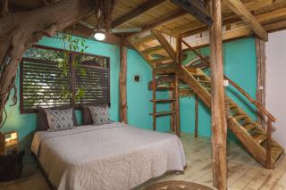 Mondi Lodge - Sint Michiel - 5