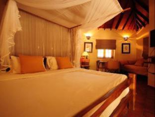 Cinnamon Wild Yala - 9