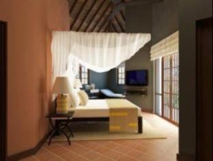 Cinnamon Wild Yala - 4