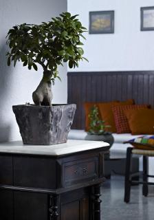 Victoria Hotel - Agios Nikolaos - 6