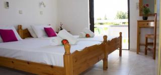 Eleni Studios & Apartments - Alykes - 8
