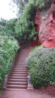 No. 2 Watch House - Dawlish - 8