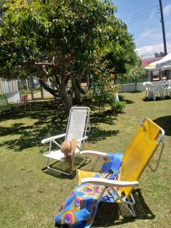 Recanto Figueira Silvestre - 0