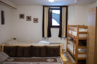 Apartman sa kaminom Vila Mina - 5