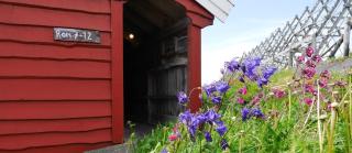 Ringholmen Sjøhus - 7