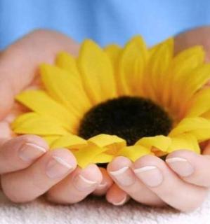 Affittacamere Girasole - Foligno - 4