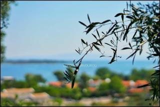 Lofos Vourvourou - Vourvourou - 5