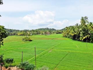Sugoi House - Unawatuna - 4