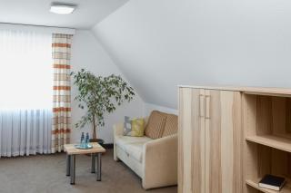 Hotel Stadt Tuttlingen - Tuttlingen - 9