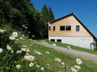 Almhütte Grosserhütte - Katschwald - 9