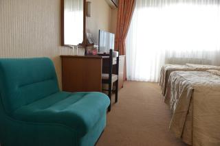 Hotel Bellevue - Skopje - 8