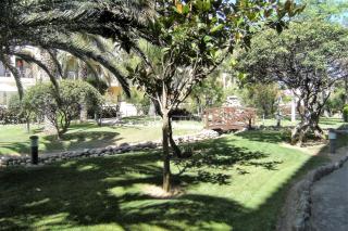 JARDINS DEL MAR 56 - L'Estartit - 3