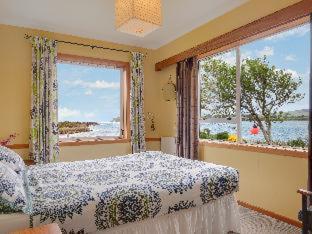 Surat Bay Lodge by the Sea/Backpackers Hostel - Owaka - 4