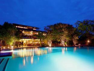 Cinnamon Wild Yala - 3