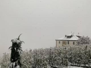 Klostergut - Castelbello - 5