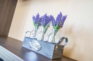 Big Skies Platinum Plus Holiday Home with Wifi, Netflix, Dishwasher, Decking - 7