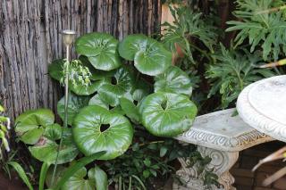 Ukarimu Guest House - Klerksdorp - 3