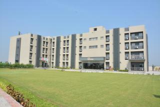 Treehouse Morina - 6