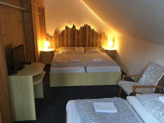 Penzion & Restaurant Pod Čerťákem - Harrachov - 4