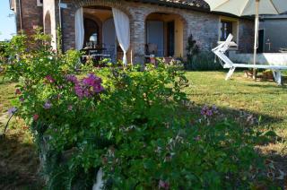 Casa Magnolia - Terricciola - 7