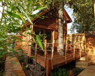 Kabanéo - gîte et sauna- Samois sur Seine - Forêt de Fontainebleau - Samois-sur-Seine - 0