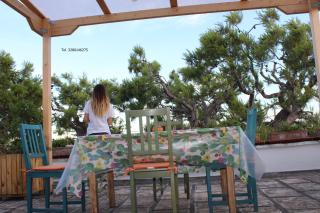 Casa vacanze il Noce - Aradeo - 5