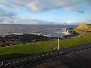 Wood Court, Troon - Troon - 9