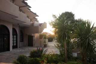 Palm Tree Apartments - Psakoudia - 7