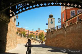 The Council - Sibiu - 8
