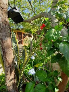 Pousada Casa da Gente - 1