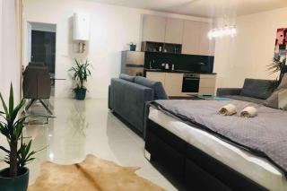 Apartment right in the center of Brno - Brno - 8