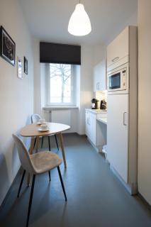 Gemütliches Appartment südlich vom Wöhrder See - Neurenberg - 4