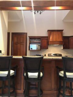 Palm Coast Luxury Rentals - Esterillos Este - 4