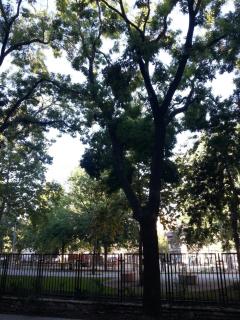 Sunny city apartment facing the park - Budapest - 4