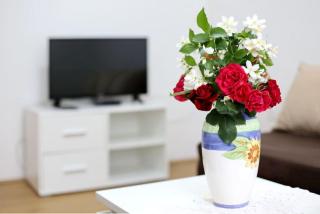 Apartmani Mlinar9 #1 - Gornji Karin - 9
