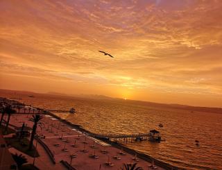 Nuevo Paracas Apartment - 2