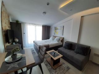 TeonaLux Milmari Resort P84 - Kopaonik - 0