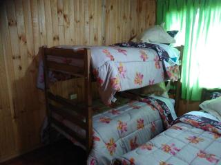 Cabañas y Domos Doña Betty - Choshuenco - 1