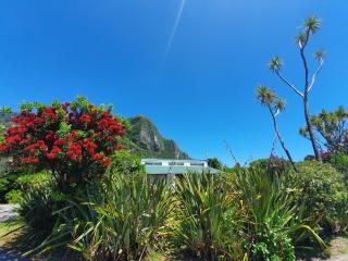 Punakaiki Beach Camp - 2