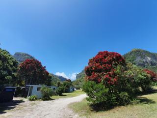 Punakaiki Beach Camp - Punakaiki - 4