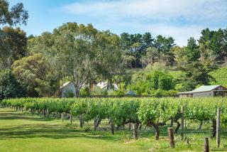 McLaren Vale Getaways - McLaren Flat - 5
